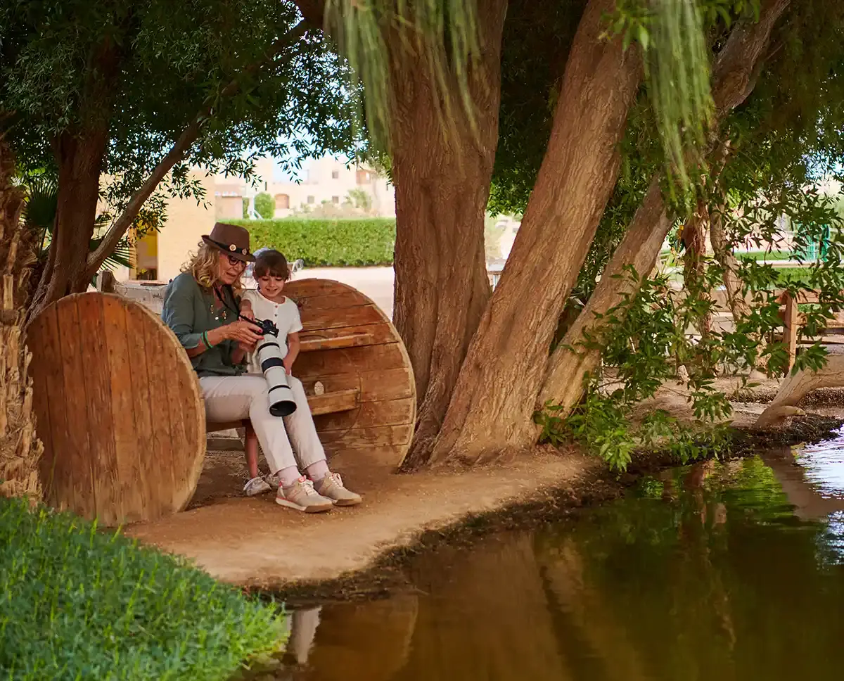 Green Globe Awards Image